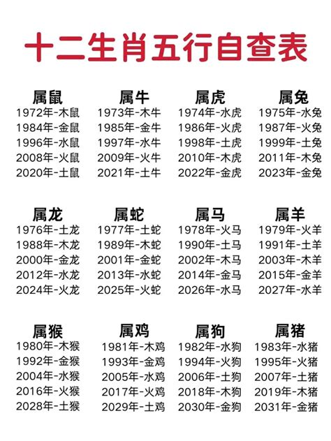 2004年生肖五行